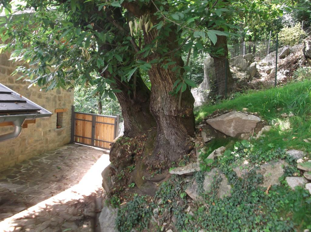 Agriturismo Ai Ronchi Sorico Εξωτερικό φωτογραφία